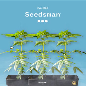 10% Off Seedsman Clones - Seedsman Promo Code