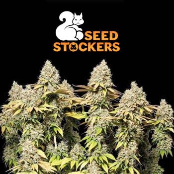 FREE Seedstockers Superior Seed - The Vault Coupon Code
