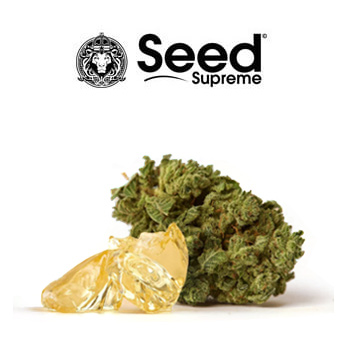 710 Sale - BOGOF - SeedSupreme Coupon Code