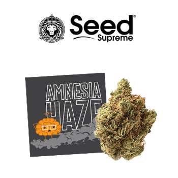 FREE Amnesia Haze Fems - SeedSupreme Discount Code