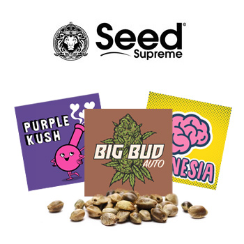 Classic Strains - BOGOF - SeedSupreme Coupon Code