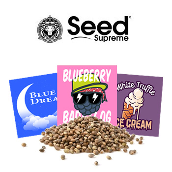 Early Black Friday - BOGOF - SeedSupreme Promo Code