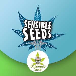 Dispensario Seeds BONUS - Sensible Seeds Coupon Code