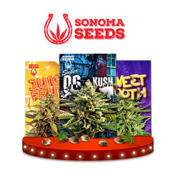 Father's Day Sale - 20% Off - Sonoma Seeds Discount Code
