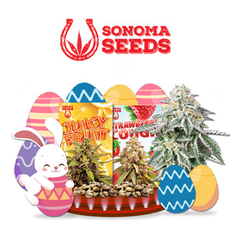 15% Off Easter Sale - Sonoma Seeds Promo Code
