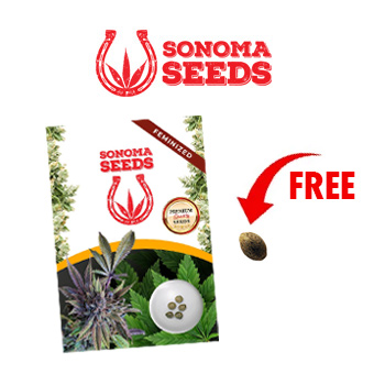 1 FREE Seed w/ 5-Packs - Sonoma Seeds Promo Code