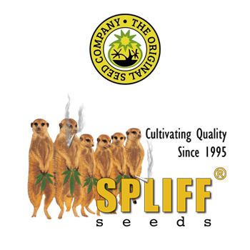 Spliff Seeds BONUS - Original Seeds Store Promo Code