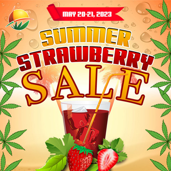 Buy One Get One 50% Off - Sunwest Genetics Promo Code