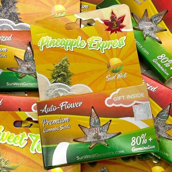 10 FREE Cannabis Seeds - Sunwest Genetics Discount Code