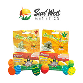 15% Off ALL Cannabis Seeds - Sunwest Genetics Promo Code