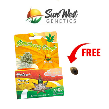 1 FREE Seed w/ 5-Packs - Sunwest Genetics Discount Code