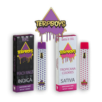 25% Off ALL Vapes - TerpBoys Coupon Code