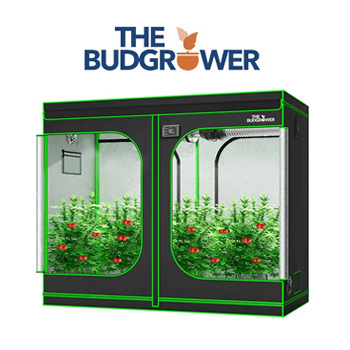 15% Off Black Friday Sale - The Bud Grower Discount Code