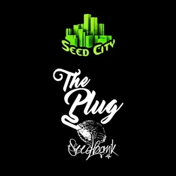 The Plug Seedbank BONUS - Seed City Promo Code