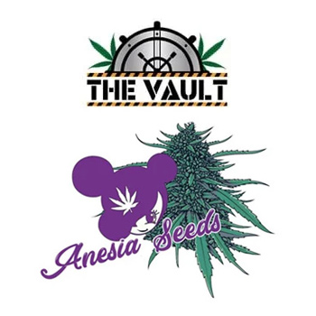 [DISC] Off Anesia Seeds - The Vault Discount Code