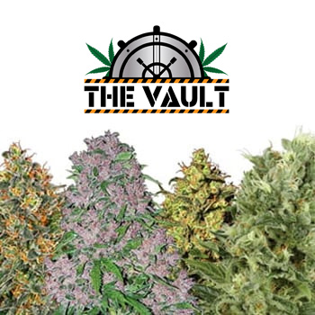 SUPER Special Offers - 50% Off - The Vault Promo Code