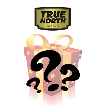 Mystery Seeds BONUS - True North Seed Bank Coupon Code