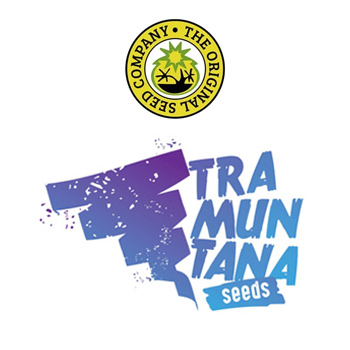 Tramuntana Seeds BONUS - Original Seeds Store Discount Code