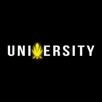 Trap University Coupon Codes