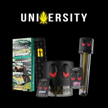 15% Off All Items - Trap University Coupon Code