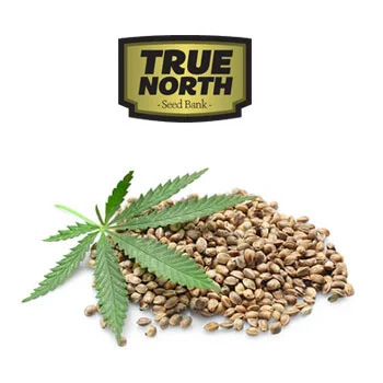 Thanksgiving Sale - 40% Off - True North Seed Bank Coupon Code