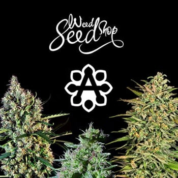 40% Off Autoflowering Seeds - Weed Seed Shop Discount Code