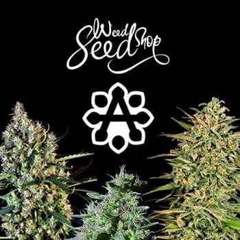 50% Off Autoflowering Seeds - Weed Seed Shop Coupon Code
