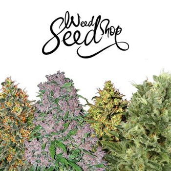 420 Sale - 50% Off - Weed Seed Shop Coupon Code