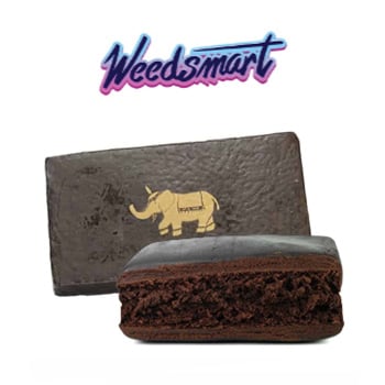 15% Off ALL Hash - WeedSmart Coupon Code