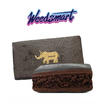 20% Off ALL Hash - WeedSmart Discount Code