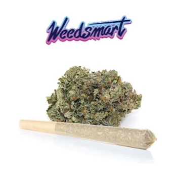 15% Off Pre-Rolled Joints - WeedSmart Discount Code