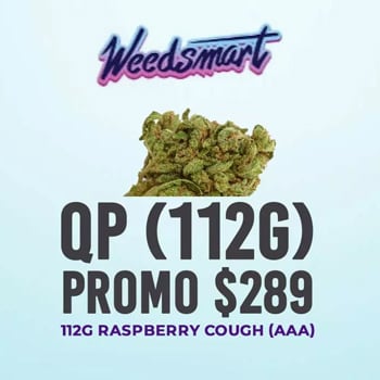 Raspberry Cough (AAA) - 4 Oz For $289 - WeedSmart Coupon Code