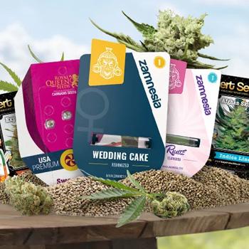 25% Off Top 10 Feminized Seeds  - Zamnesia Coupon Code